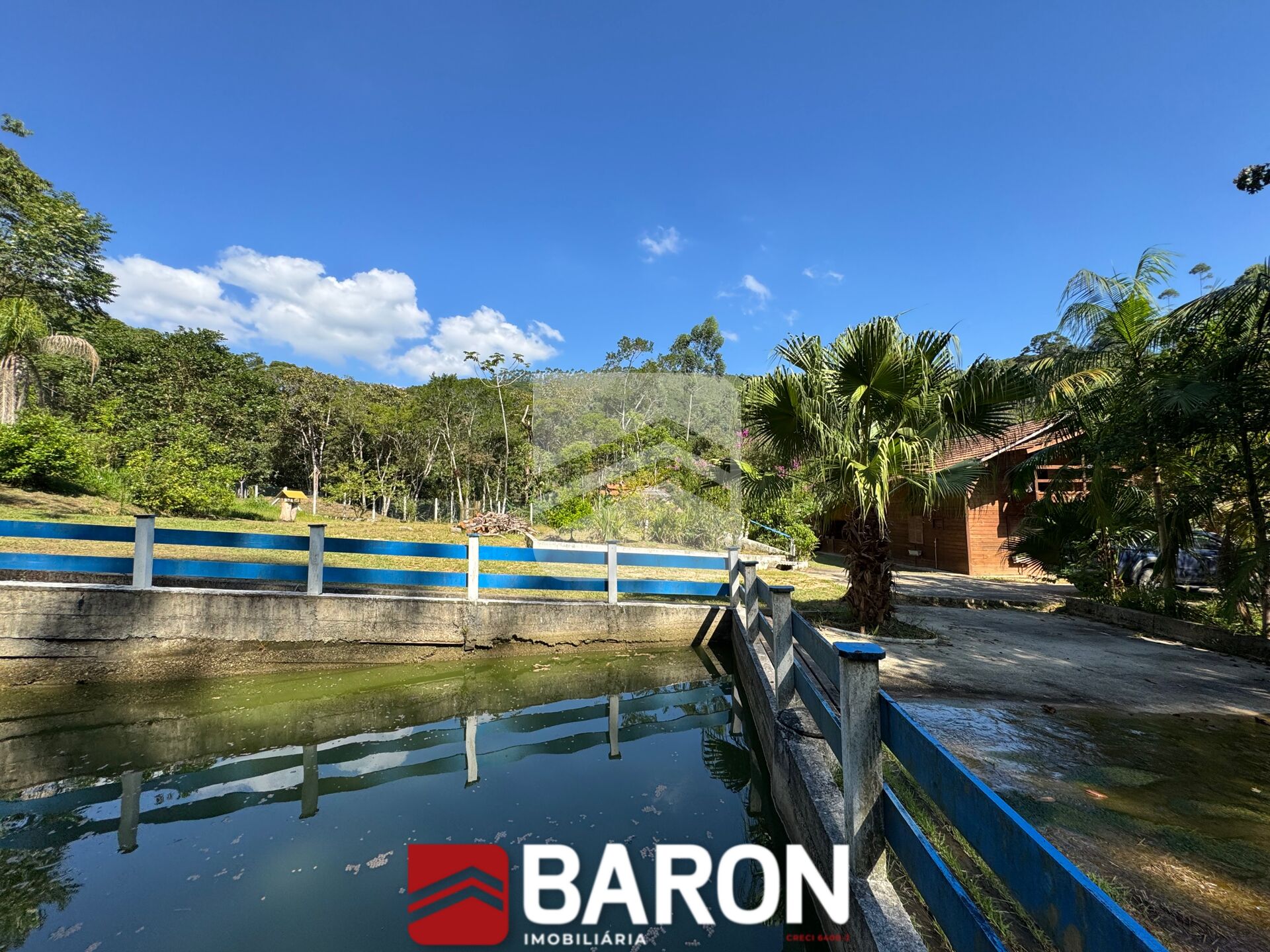 Sítio – bairro Cedro Grande