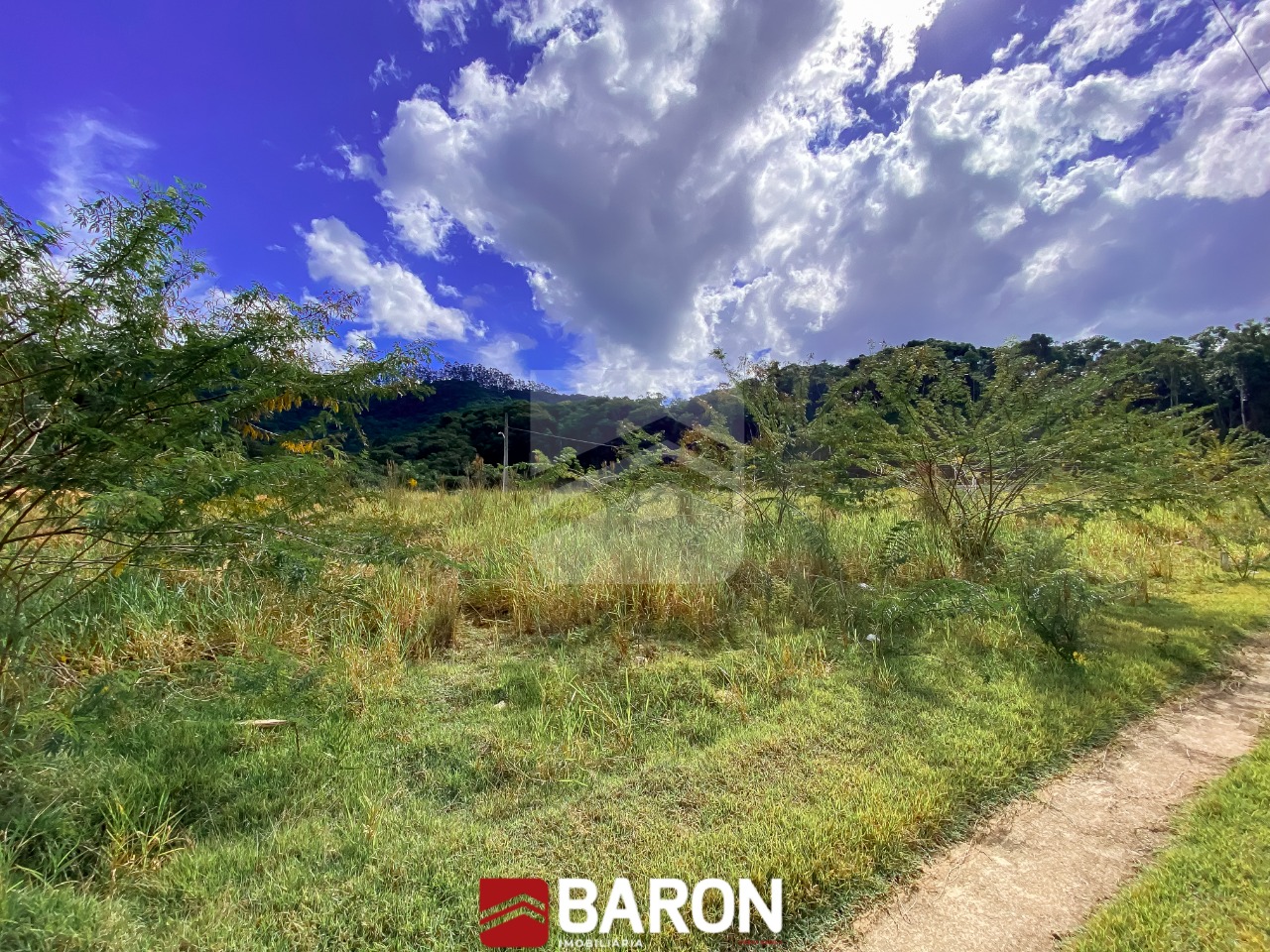 Terreno – Loteamento Jardim das Hortênsias | Bairro Cedro Alto