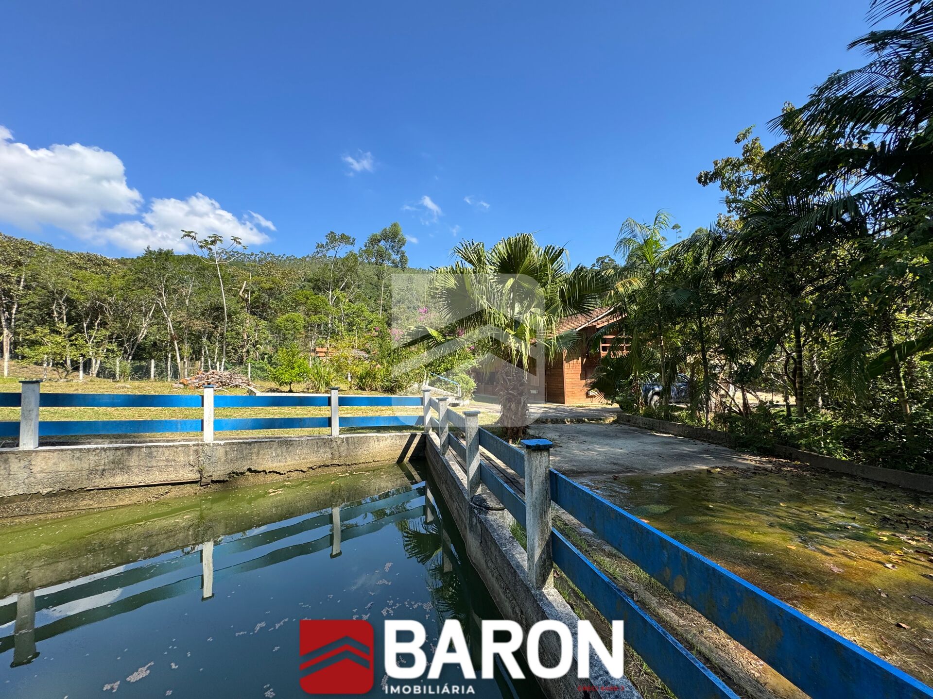 Sítio – bairro Cedro Grande