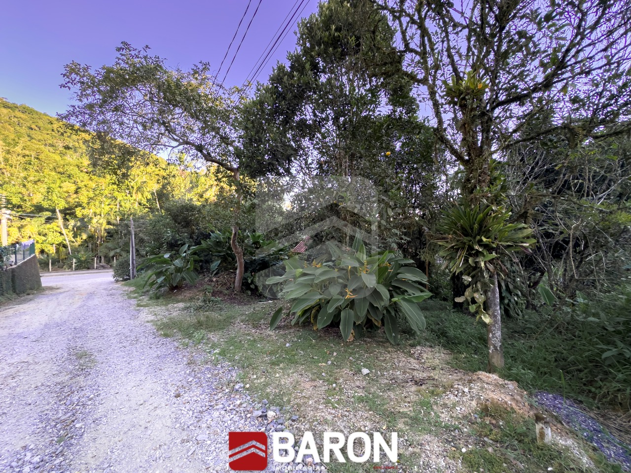 Terreno | Bairro São Pedro – Localidade Alsásia  – Guabiruba