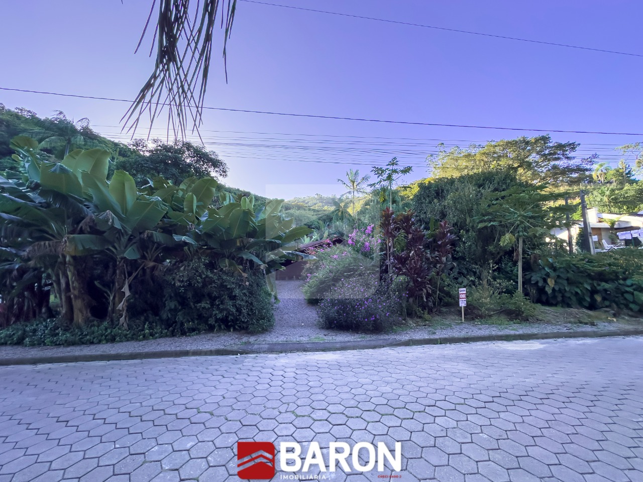 Terreno | Bairro São Pedro – Localidade Alsásia  – Guabiruba