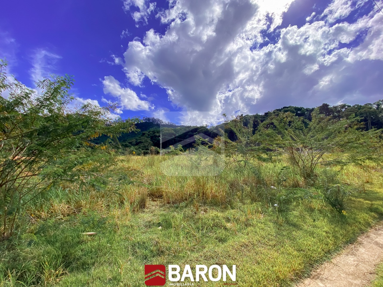 Terreno – Loteamento Jardim das Hortênsias | Bairro Cedro Alto