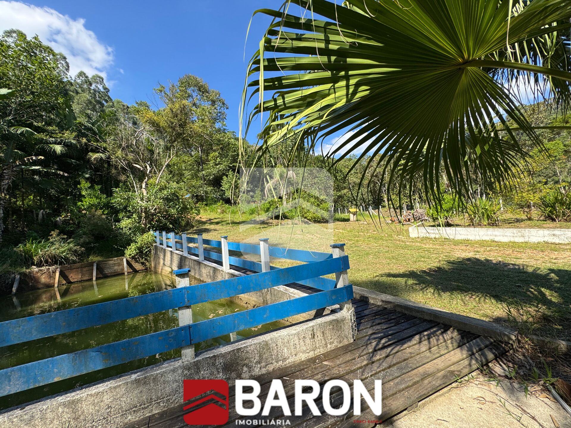 Sítio – bairro Cedro Grande